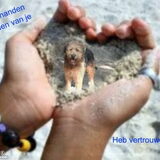 Foto van liesbeth,Turbo,Luna, Levi en Faith