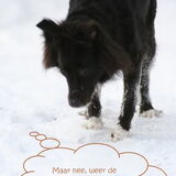 Foto van Mayumi & meisjes