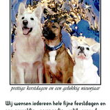 Foto van Hetty & Skipper