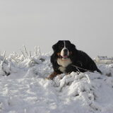 winter nov 2010