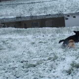 Foto van bets-bean&raider