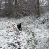 Foto van bets-bean&raider