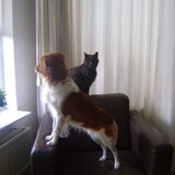 Sil & Muck...