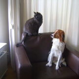 Foto van ×º°”˜`”°º× Jacq van Sil & Sterre ×º°”˜`”°º×