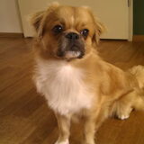 Foto van Wendy