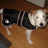 Foto van Jack en Dais