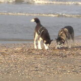 laika en zena, 2 super leuke dames