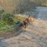 wandeling winter 2010