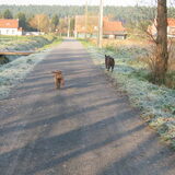 wandeling winter 2010