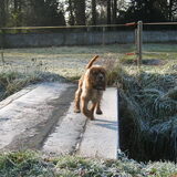wandeling winter 2010