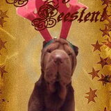 Na wat geknutsel show ik jullie... mijn kerstkaart. Zoals jullie zien…