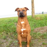 Foto van Dave