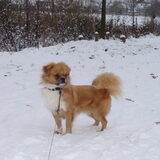 Foto van Wendy