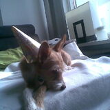 Foto van pippa en ik