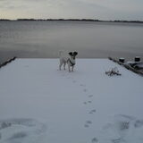 Snow.