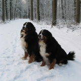 Cay en Cooper in de Emmerdennen.