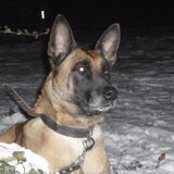 sneeeeeuw