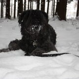 lekker in winterberg!