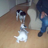 Andor en Lady haha