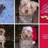 We wensen je een prettige kerst en een spetterend 2011 !