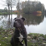 brede!!! 9 maanden