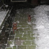 Samen voor het eerst in de sneeuw December 2010