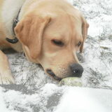 Foto van Ina en Boris