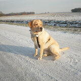 Foto van Ina en Boris
