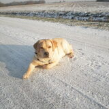 Foto van Ina en Boris