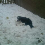 testo in de sneeuw ooooh afkoeling 2 december 2010