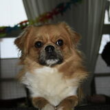 Foto van Wendy