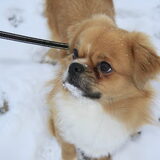 Foto van Wendy