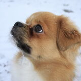 Foto van Wendy