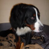 Aiko 16 maand