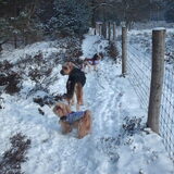 Foto van liesbeth,Turbo,Luna, Levi en Faith