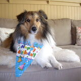 Foto van Criz & de Shelties