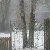 sneeuwstorm in Emmen