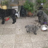 MET ZE 3EN BUITEN