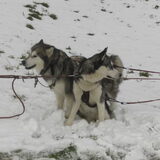 Foto van Shamilla & Zena