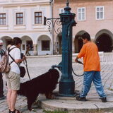 Altijd mee op vakantie. Hier in Telc, krijg ik water.