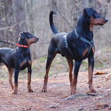 Jay-Dee en Hugo