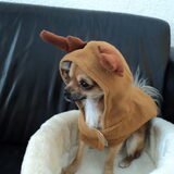 lief he