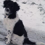De eerste keer in de sneeuw, 4 maanden oud.