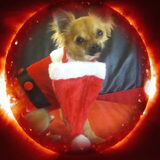 mijn kerstmeisje