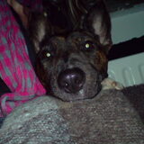 chica