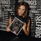 Foto van els 2