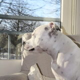 Foto van Claudia, Andor en Deamon