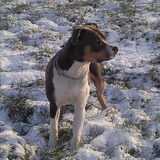 in de sneeuw!