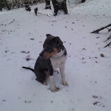 in de sneeuw!
