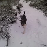 in de sneeuw!